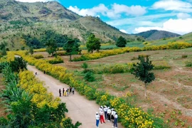 Du lịch Gia Lai tăng trưởng ấn tượng giai đoạn 2021-2025