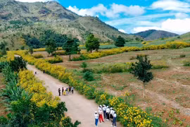 Du lịch Gia Lai tăng trưởng ấn tượng giai đoạn 2021-2025