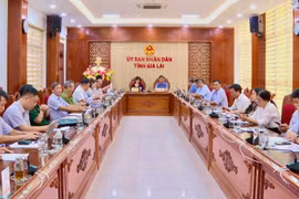Triển khai Ngày Văn hóa Việt Nam gắn với Ngày hội Đại đoàn kết toàn dân tộc