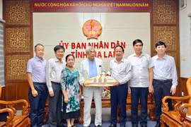 Chủ tịch UBND tỉnh Phạm Anh Tuấn trao đổi với Giáo sư Cổ Minh Đức về tiềm năng hợp tác giữa Gia Lai và vùng Normandie (Pháp)