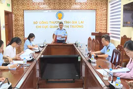 Gia Lai: Tiêu hủy hơn 3.000 sản phẩm là tang vật vi phạm hành chính bị tịch thu