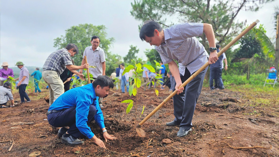 Bí thư Thành ủy Pleiku Trịnh Duy Thuân và Bí thư Thành Đoàn Pleiku Thái Giang Nam trồng cây sau lễ phát động. Ảnh: M.N img-2975.jpg