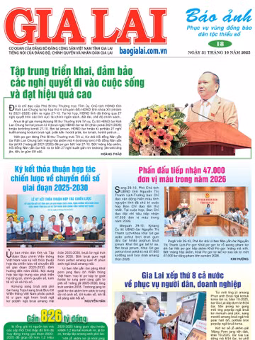 Báo Ảnh Gia Lai ngày 31-10-2025