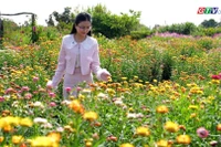 Lãng mạn cùng những loài hoa ở Vườn nhà Thóc