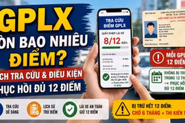 Bị trừ hết 12 điểm GPLX phải làm gì, bao lâu mới được lái xe lại?
