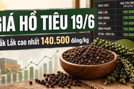 Giá hồ tiêu hôm nay 19/6: Thị trường đi ngang, vẫn neo vùng cao