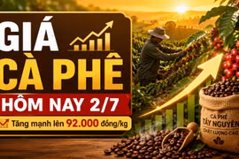Giá cà phê hôm nay 2/7: Tăng vọt lên 92.000 đồng/kg, Robusta và Arabica cùng bật mạnh