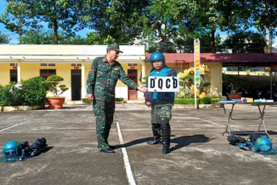 Pleiku: 74 học viên tham gia tập huấn sử dụng công cụ hỗ trợ năm 2024