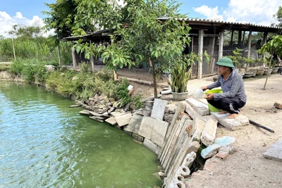 Gia Lai quy định mức tỷ lệ % để tính đơn giá thuê đất xây dựng công trình ngầm, đất có mặt nước