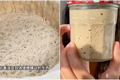 Nuôi men làm thú cưng- Trend mới của GenZ Trung Quốc. (Ảnh: Vtcnews)