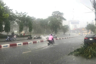 Gia Lai chủ động ứng phó với mưa lớn