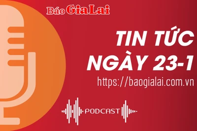 Tin tức sáng 23-1: Giá hoa Tết giảm, nhà vườn lo lắng