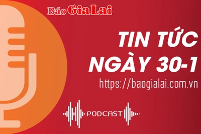 Tin tức sáng 30-1: Trái cây Gia Lai khẳng định vị thế trên thị trường trong và ngoài nước