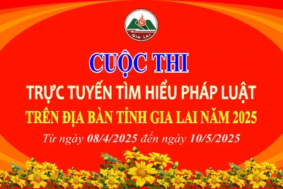 36 cá nhân đạt giải Cuộc thi trực tuyến “Tìm hiểu pháp luật trên địa bàn tỉnh Gia Lai” năm 2025