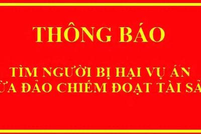 Gia Lai: Tìm người bị hại trong vụ án lừa đảo chiếm đoạt tài sản liên quan đến "chạy việc làm" tại Cảng hàng không Pleiku