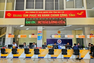 Gia Lai: Hoàn thành việc cấp mã số thuế, tài khoản kho bạc cho UBND cấp xã mới chậm nhất vào ngày 30-6