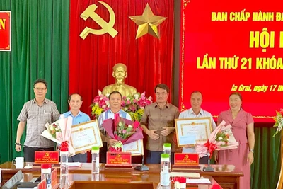 Ia Grai: Khen thưởng 33 tổ chức Đảng, đảng viên hoàn thành xuất sắc nhiệm vụ 5 năm liên tục