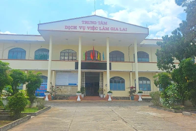 Tuyển thực tập sinh nam thực tập kỹ thuật tại Nhật Bản, mức lương 24-35 triệu đồng/tháng