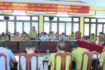 Gia Lai phát hiện, xử lý 95 vụ vi phạm Luật Lâm nghiệp