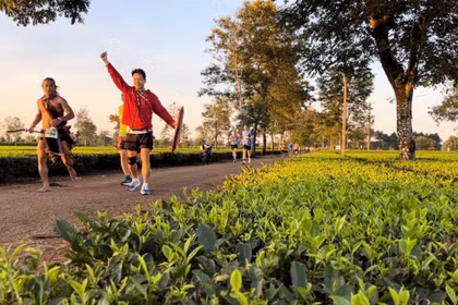 Diện tích hơn 62 ha chè tại xã Biển Hồ sẽ được giữ nguyên trạng để phục vụ mục tiêu phát triển du lịch sinh thái và bảo vệ cảnh quan