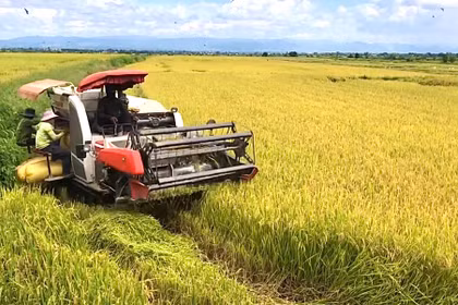Công an xã Chư A Thai cảnh báo tình trạng “bảo kê” máy gặt lúa