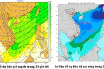 Vùng biển Gia Lai có mưa rào và giông rải rác