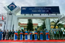 Thành lập Trường Tiểu học, THCS và THPT Thực hành sư phạm Gia Lai