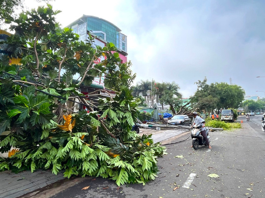 Nhanh chóng triển khai khắc phục hậu quả do thiên tai gây ra. Ảnh: P.V z6648849280745-d3705725947b969c3a2f2bd13e227de6.jpg