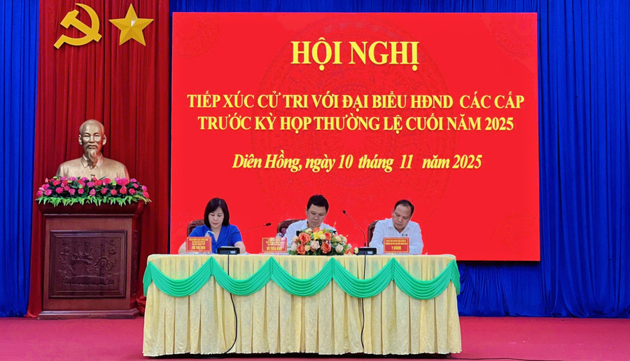 dai-bieu-hdnd-tinh-gia-lai-tiep-xuc-cu-tri-hai-phuong-dien-hong-va-pleiku.jpg