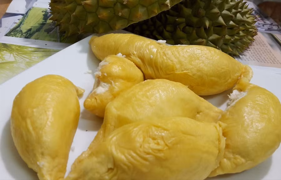 Giá sầu riêng tăng trở lại. ẢNH: THU HƯƠNG