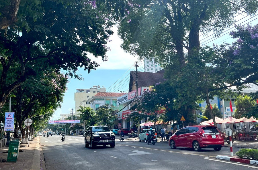 Phương án quy định cụ thể trách nhiệm của các sở, ngành, địa phương trong tham gia ứng phó đối với từng cấp độ rủi ro của các loại hình thiên tai. Ảnh: P.V z6610470724946-2f39ab946012b2dbd024b2a4749d9411.jpg