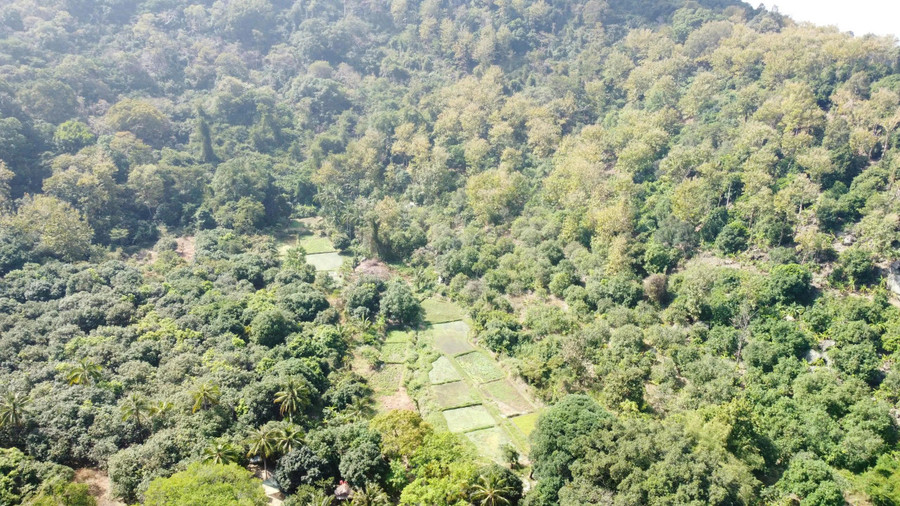 Ở những vùng trũng, người dân địa phương trồng rau cần, rau diếp, sen hồng, sen trắng, tạo thành thảm thực vật tổng hợp, vừa đậm chất núi rừng, vừa thân quen, gần gũi như một làng quê. Hệ động vật ở đây cũng đa dạng không kém