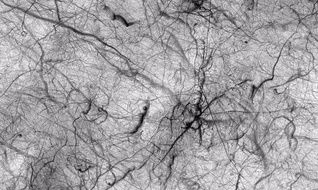 Hình ảnh tổng hợp về "quỷ bụi" vừa được NASA công bố - Ảnh: NASA