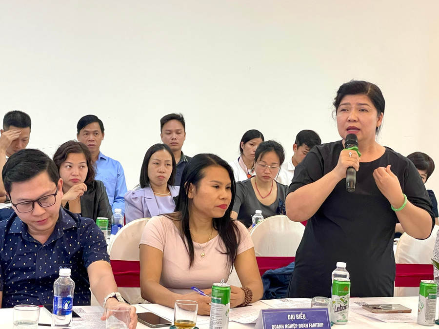 Bà Hồng Thu Mai - đại diện Công ty TNHH một thành viên Dịch vụ lữ hành Saigontourist trao đổi ý kiến tại hội nghị. Ảnh: Lam Nguyên 7c7e5bd801e48cbad5f5.jpg