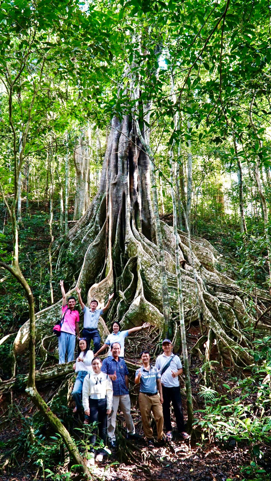 Đoàn famtrip tham quan cây đa cổ thụ tại Vườn Quốc gia Kon Ka Kinh. Ảnh: Cục Du lịch quốc gia Việt Nam 82466fb2218eacd0f59f.jpg