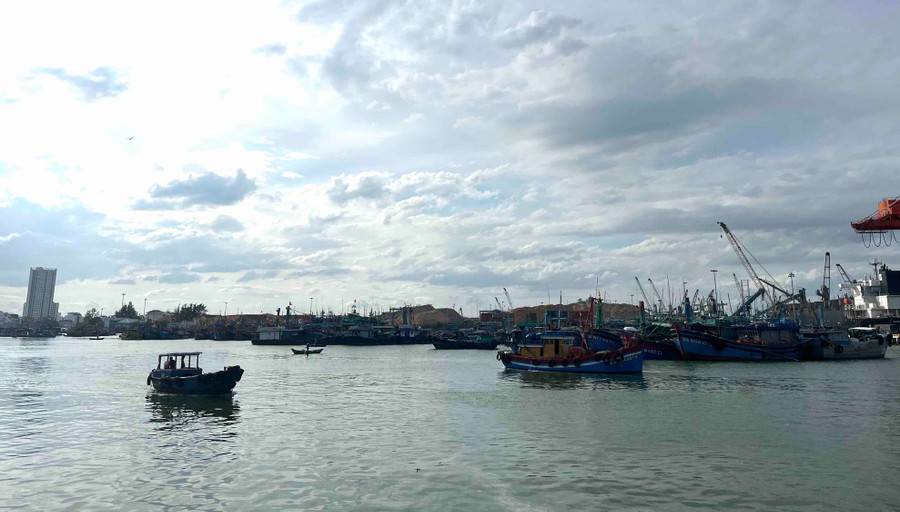Các phương tiện tàu thuyền chủ động tìm nơi neo đậu tránh bão. Ảnh: P.V img-5229.jpg