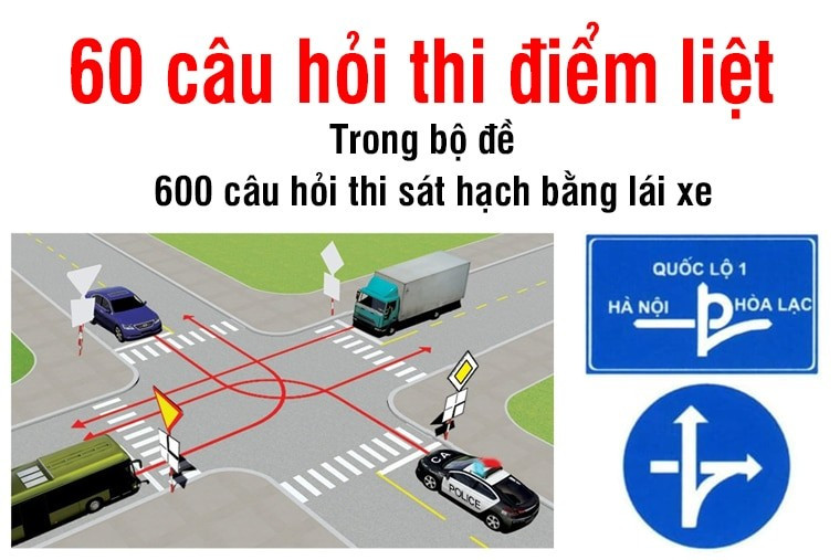 60-cau-hoi-diem-liet.jpg