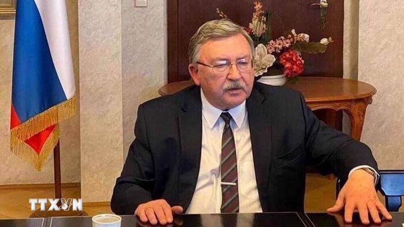 Đại diện thường trực của Nga tại các tổ chức quốc tế ở Vienna (Áo) Mikhail Ulyanov. Ảnh: IRNA/TTXVN dai-dien-nga-mikhail-ulyanov.jpg