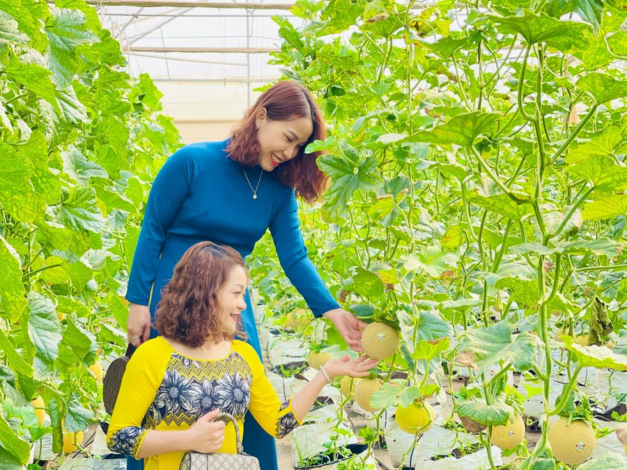 Khu thực nghiệm ứng dụng khoa học và công nghệ được định hướng là trung tâm lõi để phát triển nghiên cứu, phát triển và chuyển giao khoa học và công nghệ, công nghệ sinh học, dược liệu, nông nghiệp công nghệ cao tỉnh Gia Lai. Ảnh: Mai Ka 59fffbd843d4e18ab8c5-1873.jpg