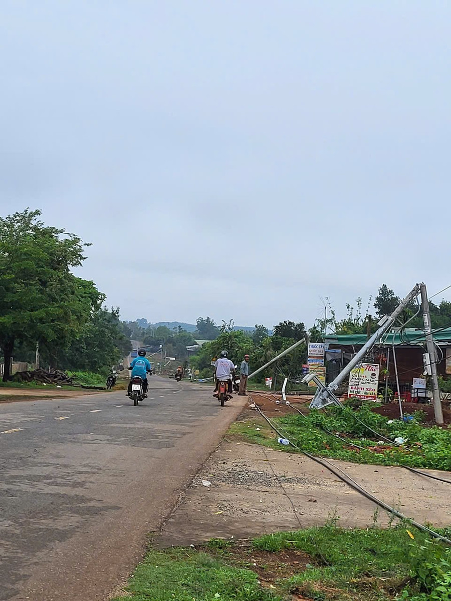Trụ điện bị gãy đôi sau cơn mưa giông. Ảnh: Bùi Đại 1b582838e454510a0845.jpg