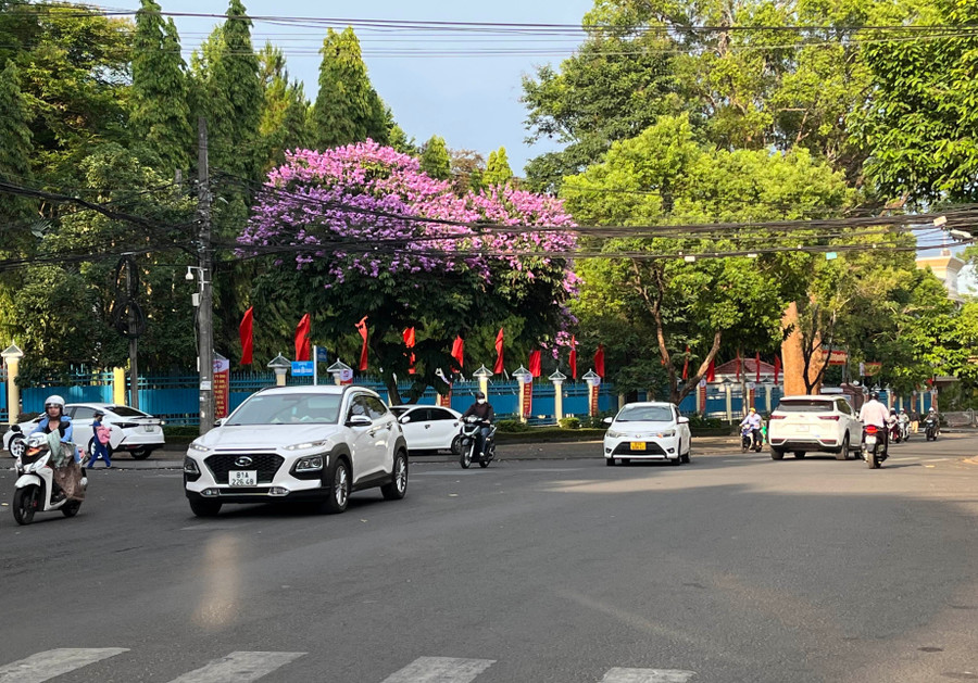HĐND tỉnh điều chỉnh giảm dự toán thu, chi ngân sách địa phương năm 2025 của huyện, thị xã, thành phố (trước sắp xếp). Ảnh: P.V img-9069.jpg