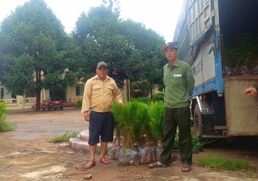 Bàn giao cây giống tại phường Trà Bá (TP. Pleiku). Ảnh: Bá Bính anh-1.jpg