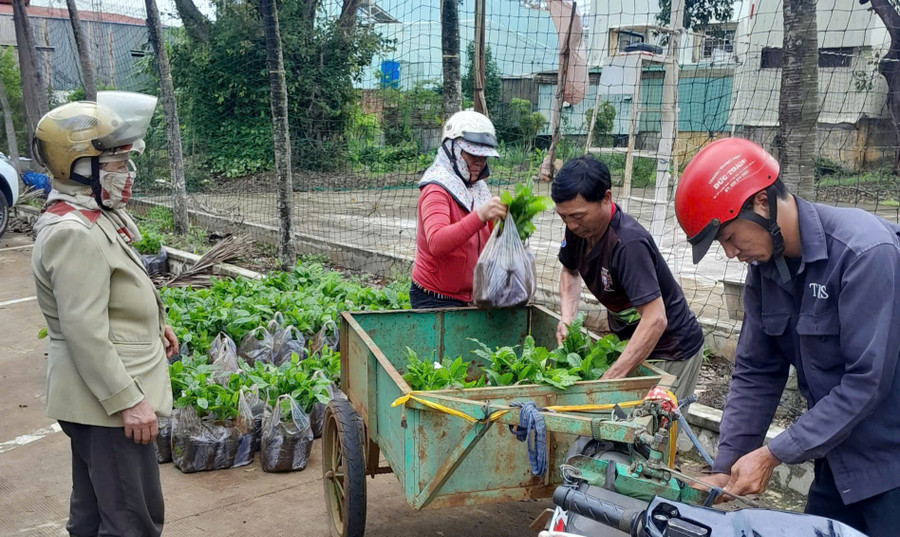Người dân nhận cây giống cà phê. Ảnh: Bá Bính z6733087731622-10aaa394ed12e6b898da253b5970ebdf.jpg