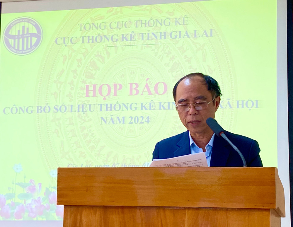 Ông Nguyễn Đình Tám-Quyền Cục trưởng Cục Thống kê tỉnh Gia Lai khái quát một số vấn đề cơ bản về tình hình kinh tế-xã hội năm 2024 của tỉnh. Ảnh: Lạc Hà tempimageis3i4a.jpg