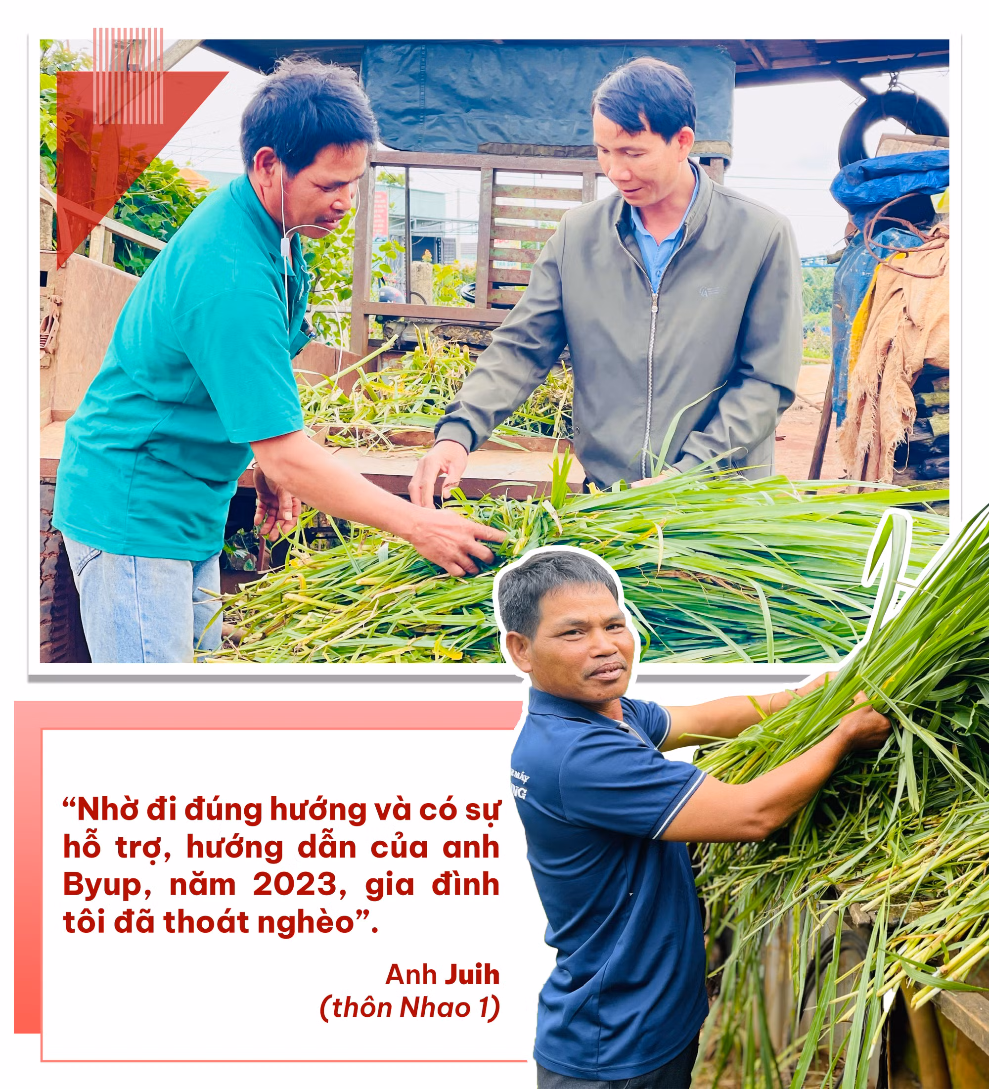 Ðảng viên trẻ người dân tộc thiểu số, luồng sinh khí mới từ cơ sở-Kỳ 2: “Ðầu tàu” phát triển kinh tế ảnh 7