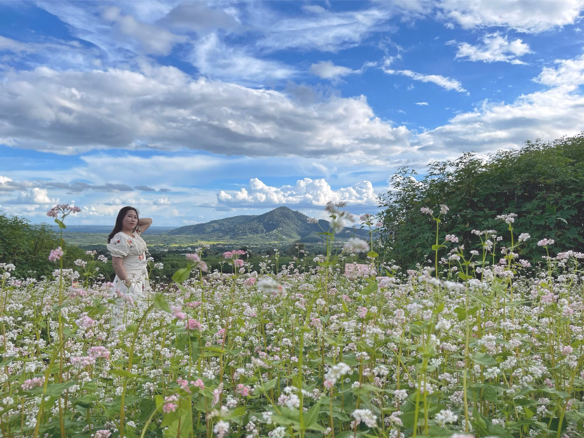 Du khách tham quan núi lửa Chư Đang Ya và chụp ảnh tại vườn hoa tam giác mạch trước thềm lễ hội. Ảnh: Hoàng Ngọc