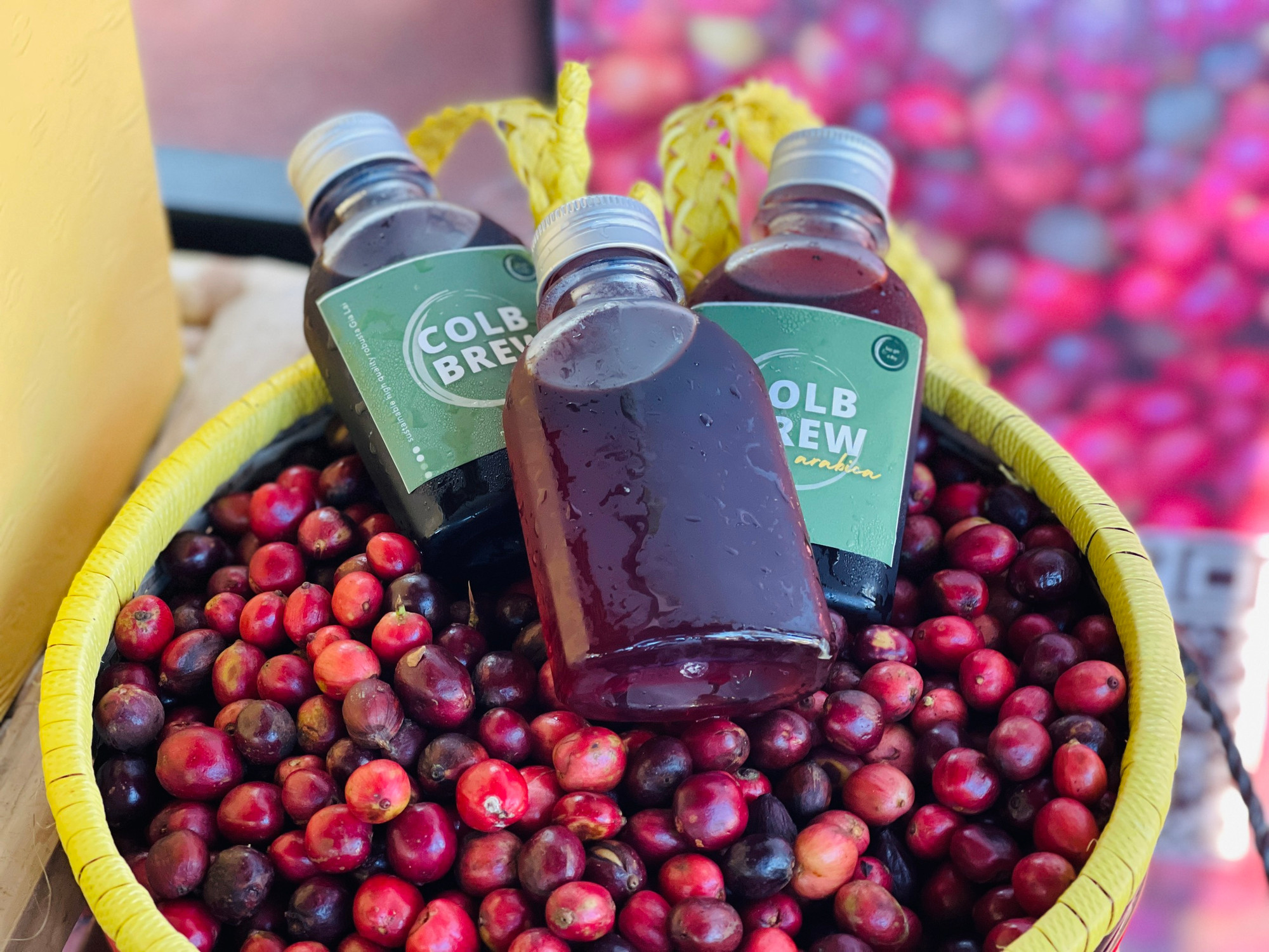 Dòng thức uống mới từ cà phê chất lượng cao. Ảnh: Trần Dung