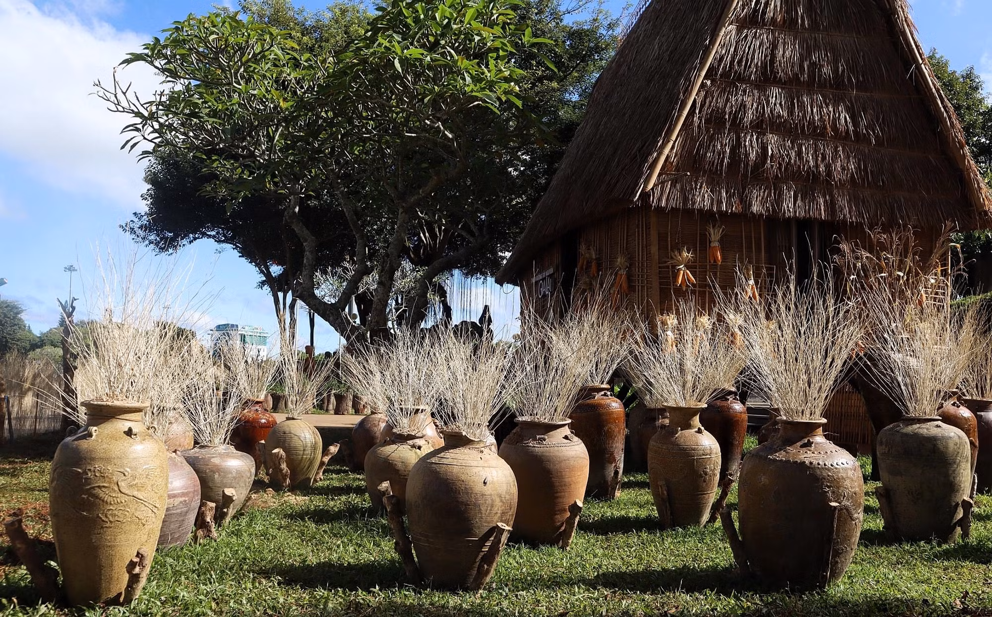 Bộ sưu tập ghè Tây Nguyên. Ảnh: Hoàng Ngọc