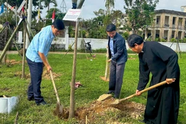 Triển khai mô hình điểm về bảo vệ môi trường tại giáo xứ Kim Châu