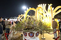 Khai mạc Lễ hội mai vàng An Nhơn lần thứ II